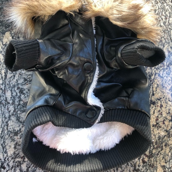 Wu-Tang dog music rap fur leather lux embroidered dog cat pet medium hip hop s - Picture 3 of 6